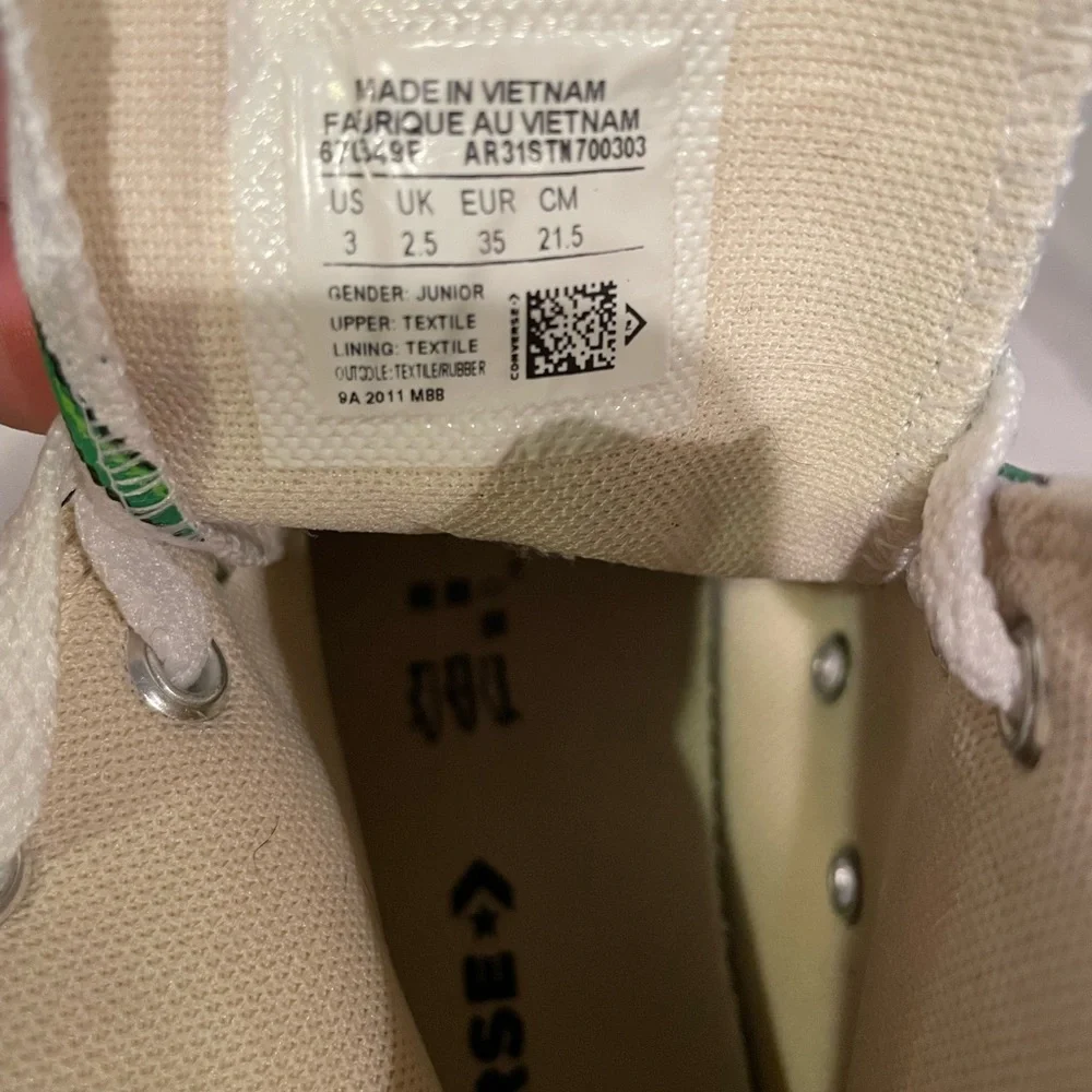 Converse Chuck Taylor hi tops
